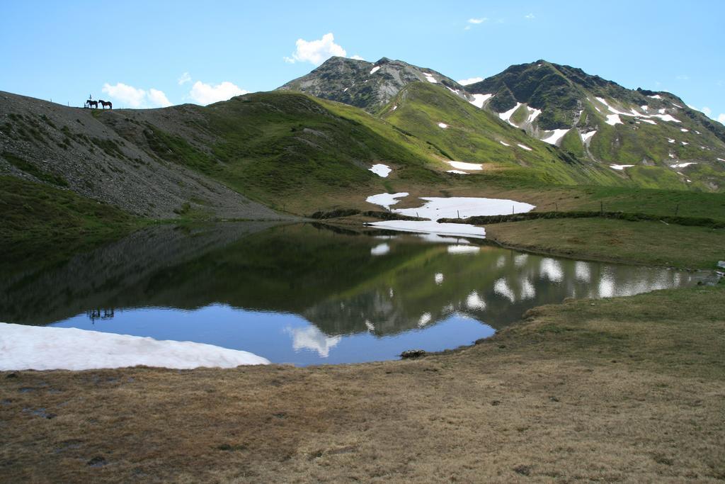 Tauern Apartment Schrempf - Anna Niedernsill Dış mekan fotoğraf